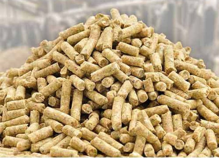 Common animal feed supplement, Style Type : Dried, Fresh, Frozen, Preserved