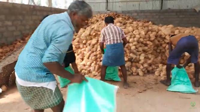 fresh coconut