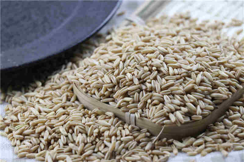 A Grade Top Quality Hulled Oats/ Oats Grains