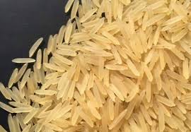 Organic sugandha golden sella rice, Variety : Long Grain