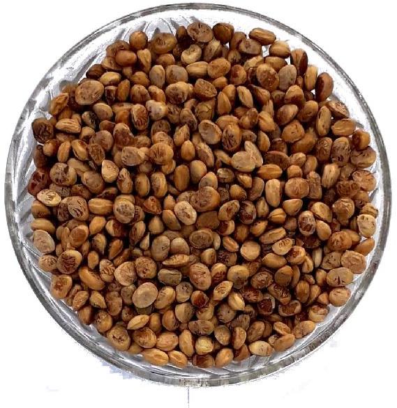Organic Chironji Nuts
