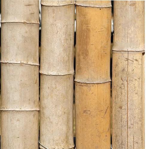 Assam Bamboo Logs