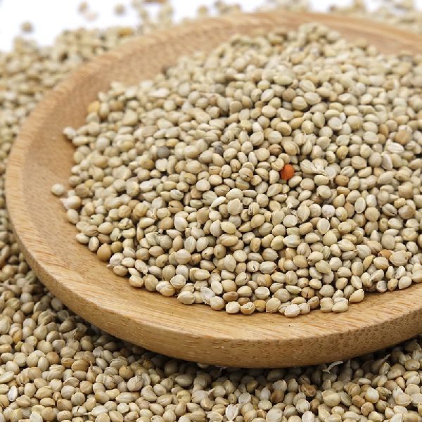 Difference Between Foxtail Millet And Pearl Millet