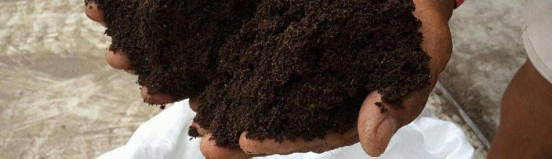 Pure Vermicompost, Purity : 100%