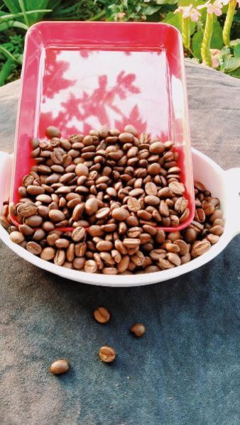 Roasted Coffe Beans Coffee Beans Rubasta