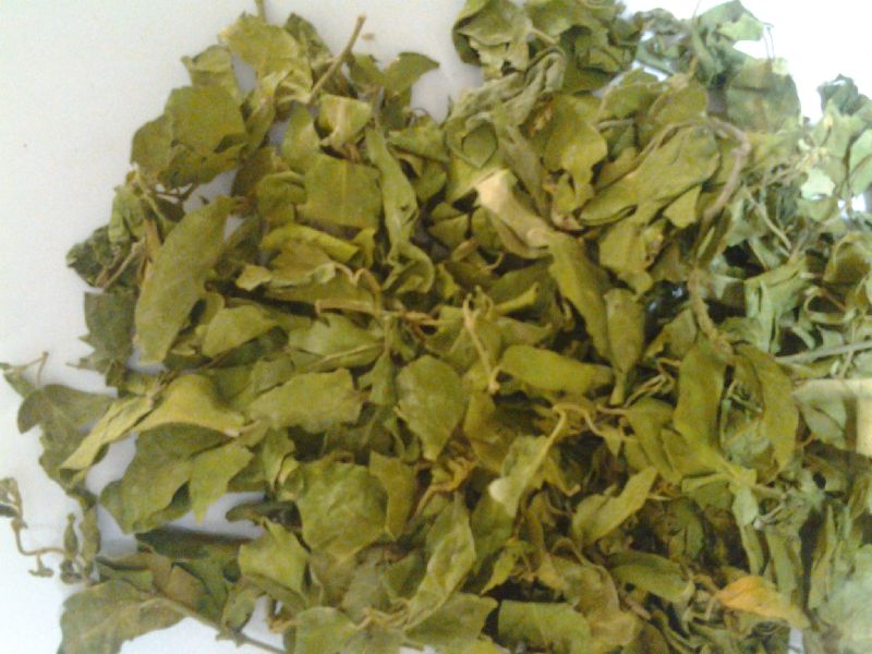 Dried Leaf Moringa