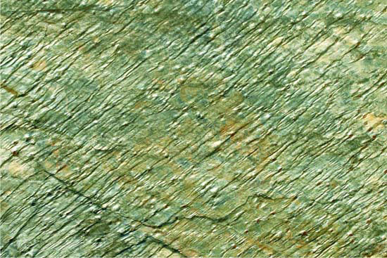 Rectangular Deoli Green Natural Slate Stone, for Flooring Use, Wall Use, Feature : Good Quality
