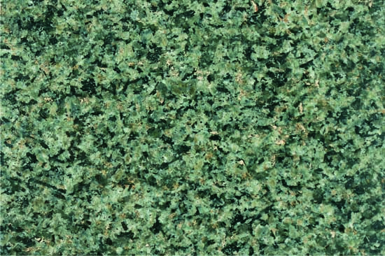 Polished Nagina Green Granite, for Flooring, Feature : Easy To Clean, Non Slip