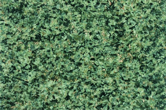 Nagina Green Granite