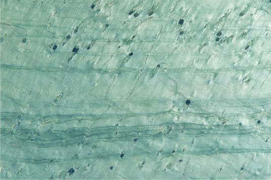 Ocean Green Honed Slate Stone, Feature : Acid Resistant