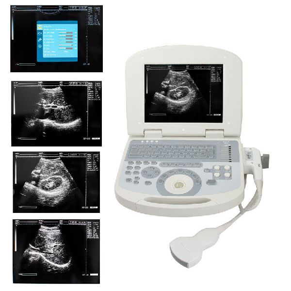 Portable Transducer Veterinary Ultrasound Scanner, Certification : ISI Certified