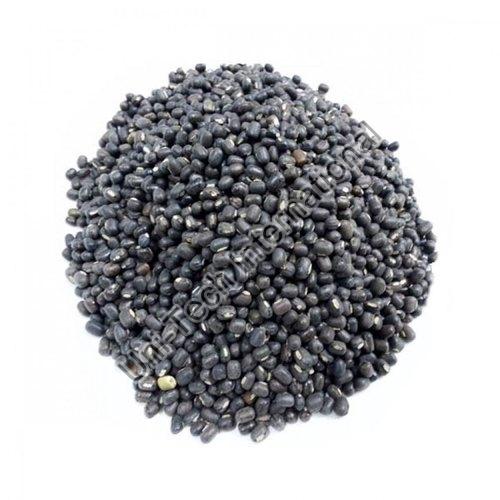 Black Gram Beans at Best Price in Pune UNITECH INTERNATIONAL