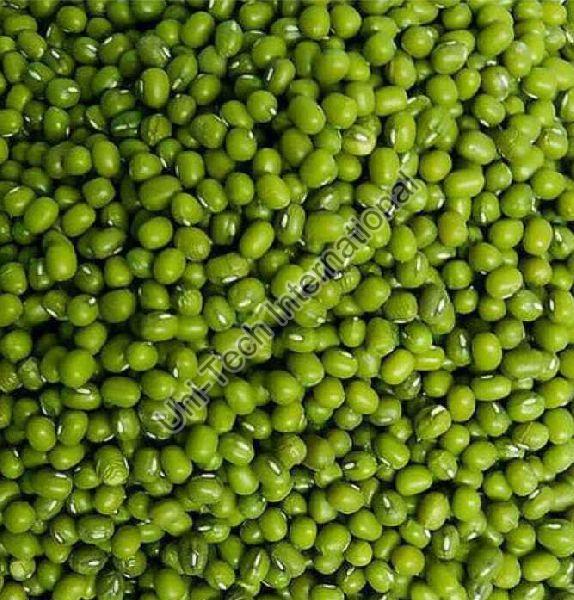 Green Gram Beans UNITECH INTERNATIONAL, Pune, Maharashtra