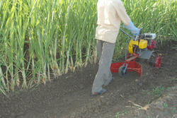 Iron Sugarcane Weeder, for Field, Feature : Durable, Easy To Use, Full Adjustable, High Quality, High Strength