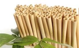 Bamboo Straw