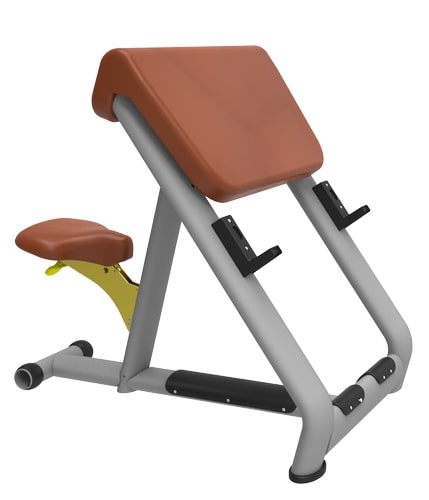 White Polished Mild Steel preacher curl bench, for Gym Use, Feature : Durable, Fine Finished