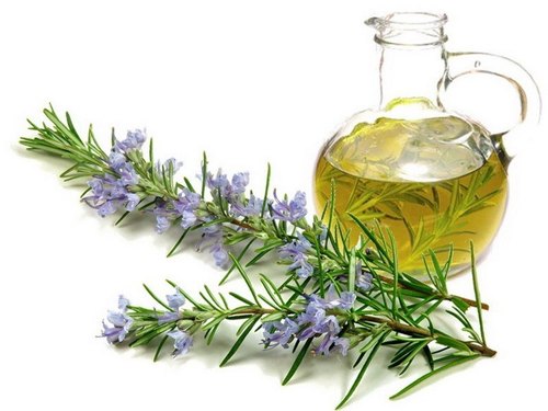  rosemary oil, for Aromatherapy, Medicine Use, Personal Care