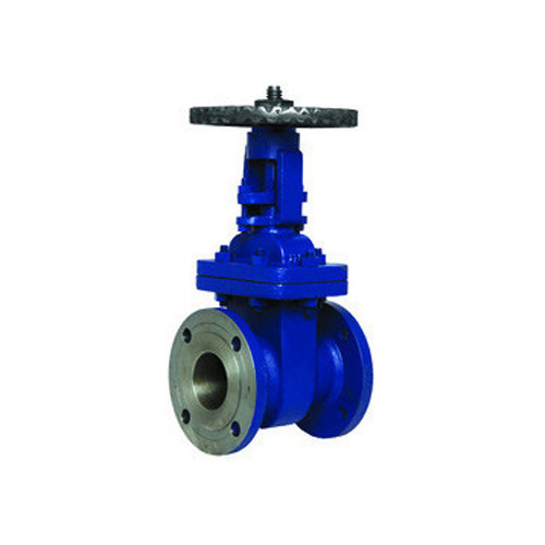 Cast Steel Gate Valve