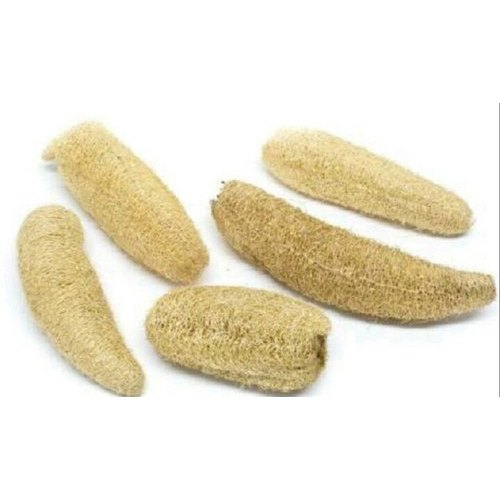 Matin Impex Natural Loofah Sponge