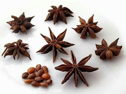 star anise seeds