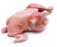 Fresh Chicken Meat