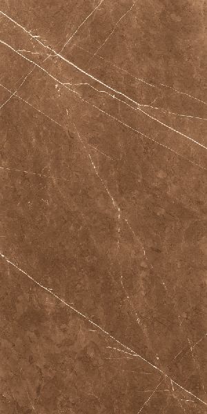 Acorn Brown High Gloss Vitrified Slab Tiles