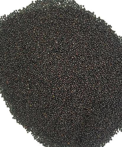 Black Rai Seeds, Packaging Type : Jute Bag, Plastic Bag