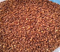 Organic Brown Sesame Seeds, Style : Dried