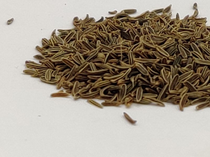 Shahi Cumin Seeds, for Cooking, Style : Dried