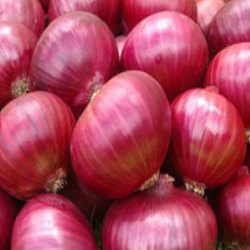 red onion