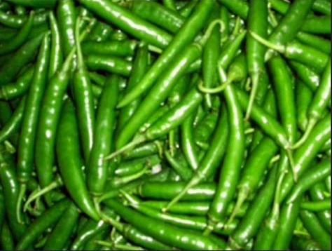 Organic Nandita Green Chilli, for Pesticide Free, High Nutritive Value, Packaging Size : 5 Kg, 10 Kg