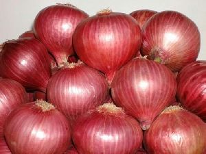 Organic nashik onion, Shelf Life : 1month