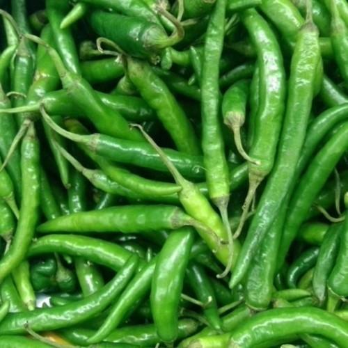 Organic Natural Green Chilli, for Human Consumption, Cooking, Packaging Size : 1 Kg, 2 Kg, 5 Kg
