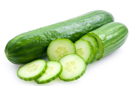 Organic Fresh Cucumber,fresh cucumber, Packaging Type : Plastic Bag