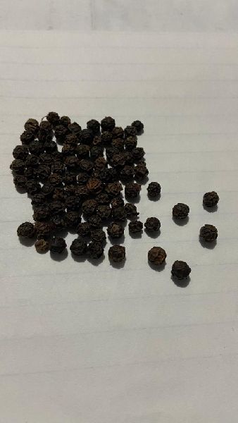 Raw Organic Black Pepper, for Cooking, Feature : Free From Contamination, Good Quality, Pure