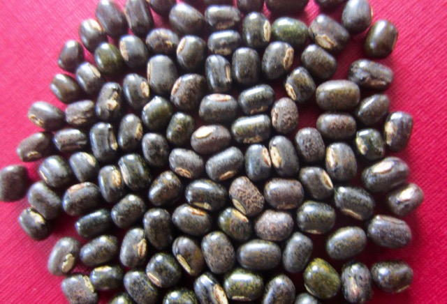 Organic Black Gram Beans, for Cooking, Certification : FSSAI