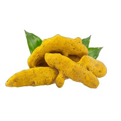 double polished turmeric finger