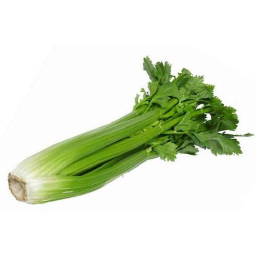 Fresh Celery, Color : Green
