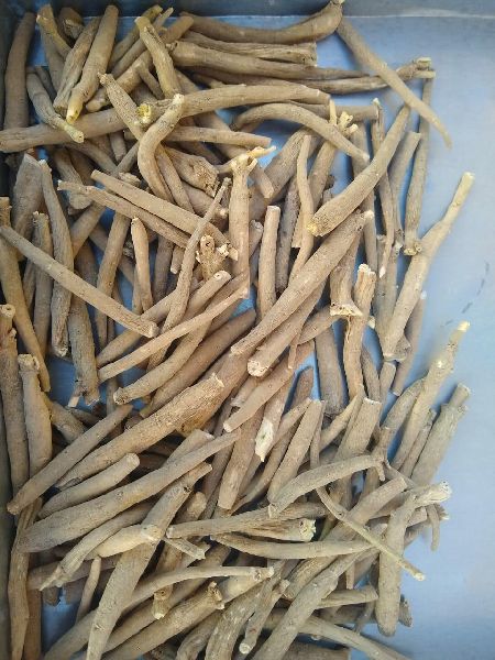 Ashwagandha Roots, Color : Natural