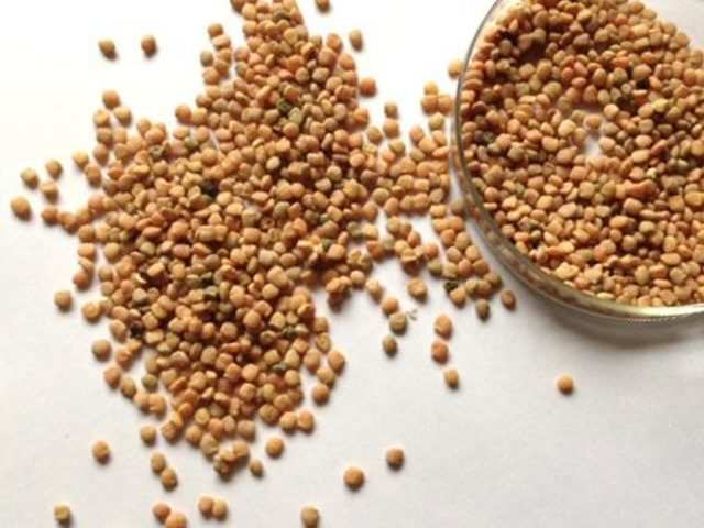Organic Guar Seeds, for Agriculture, Purity : 99.9%