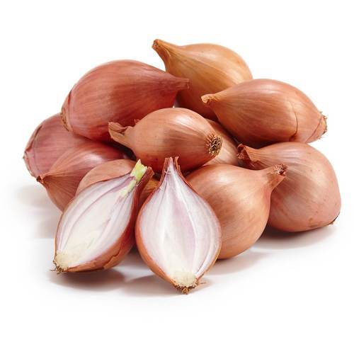 Organic Shallot Onion, for Human Consumption, Packaging Size : 10kg, 25kg