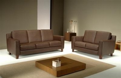 Polished Plain leather sofa, Size : Multisize