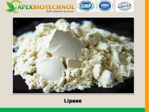 Apex Biotechnol Lipase, Color : off white powder