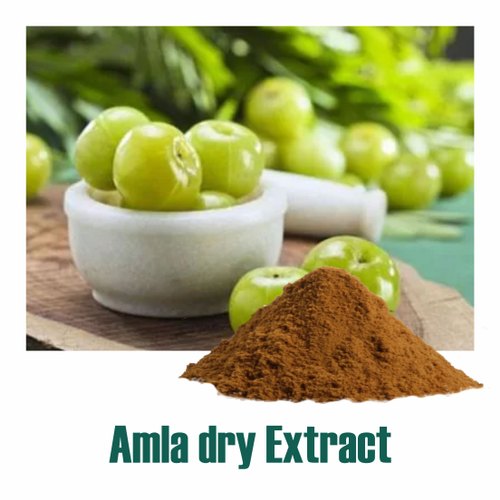 Amla Dry Extract, for Medicinal, Beauty, Packaging Size : 5-10kg
