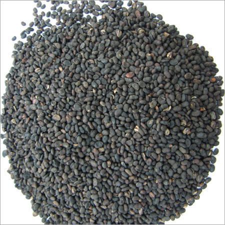 Babchi Dry Extract