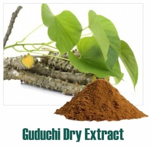 Guduchi Dry Extract
