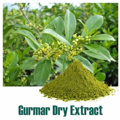 Gurmar Dry Extract, Packaging Type : Plastic Packets