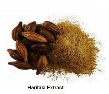 Haritaki Dry Extract