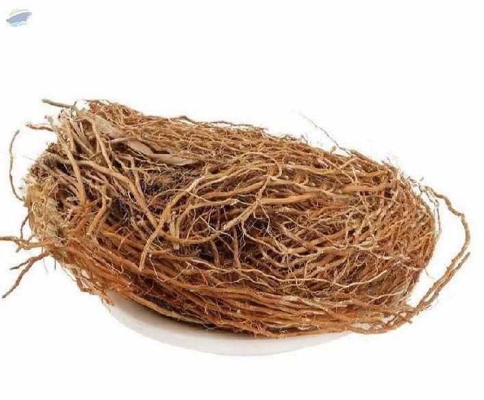 Khus Dry Extract