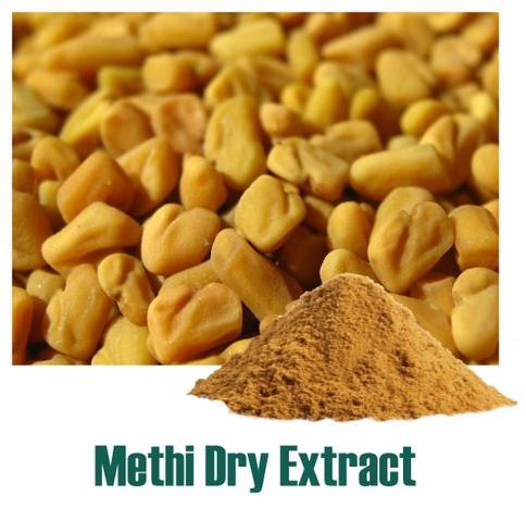 Methi Dry Extract, for Medicinal, Food Additives